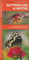 Waterford Press Pocket Naturalist Guide - Butterflies and Moths